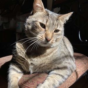 Meet your Posher, Arianna